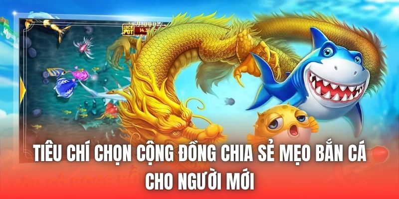 Tiêu Chí Chọn Cộng Đồng Chia Sẻ Mẹo Bắn Cá Cho Người Mới