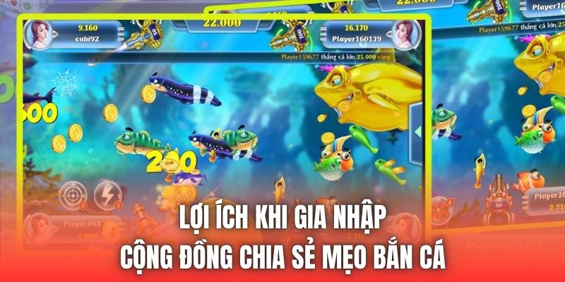 Lợi ích khi gia nhập cộng đồng chia sẻ mẹo bắn cá